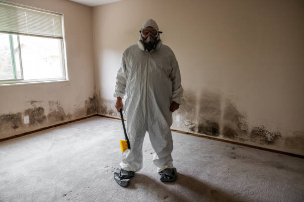 Best Emergency Mold Remediation in Tahoe Vista, CA